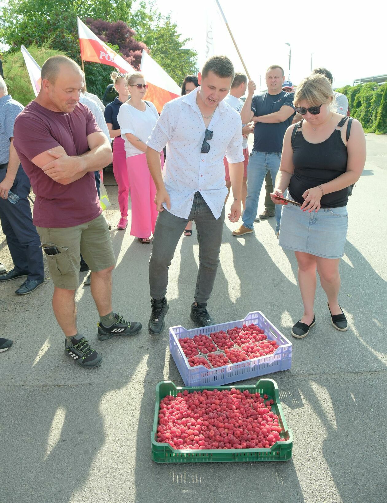  Protest plantatorów malin w Opolu Lubelskim (zdjęcie 4) - Autor: DW