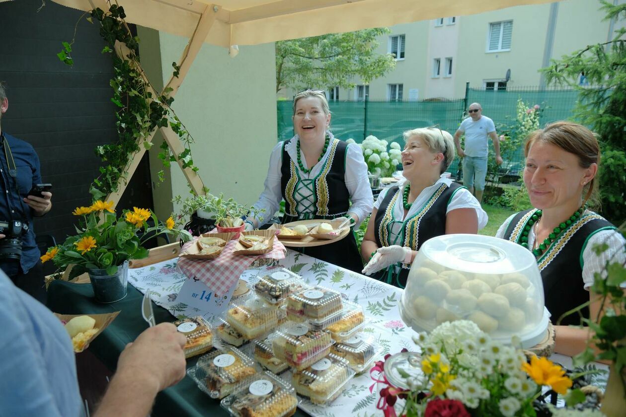  Konkurs kulinarny Bitwa Regionów  i festyn rodzinny z okazji Świdnickiego Lipca (zdjęcie 10) - Autor: DW