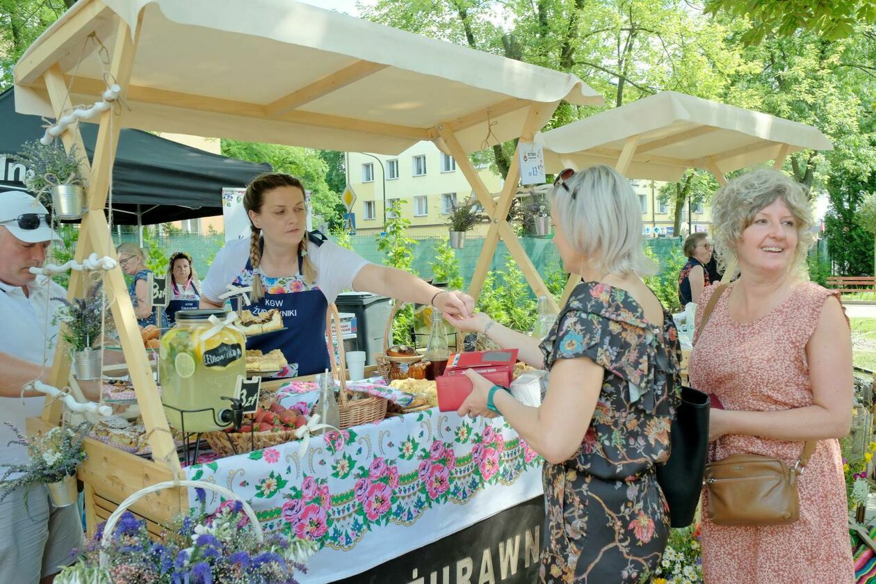  Konkurs kulinarny Bitwa Regionów  i festyn rodzinny z okazji Świdnickiego Lipca (zdjęcie 29) - Autor: DW