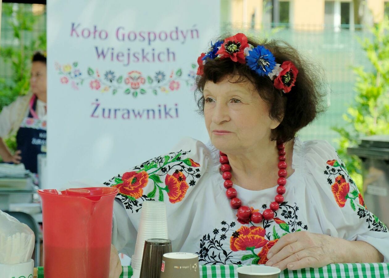  Konkurs kulinarny Bitwa Regionów  i festyn rodzinny z okazji Świdnickiego Lipca (zdjęcie 28) - Autor: DW