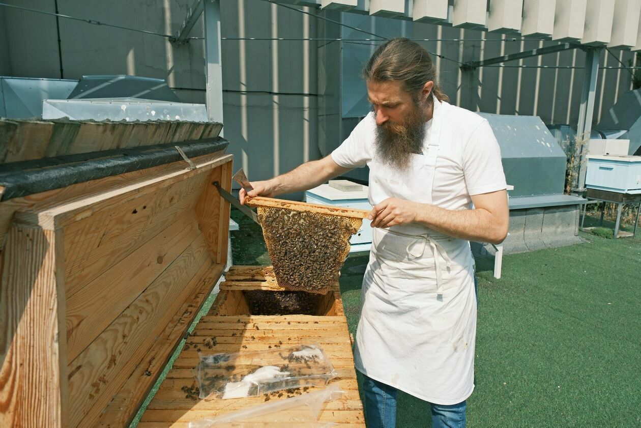  Warsztaty pszczelarskie dla dzieci w pasiece CSK prowadzi Marcin Sudziński (zdjęcie 10) - Autor: DW