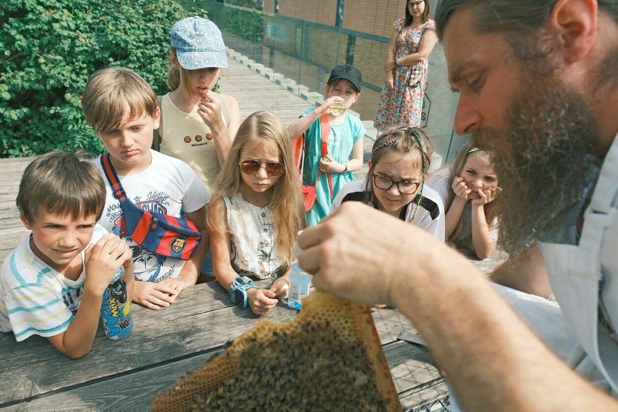  Warsztaty pszczelarskie dla dzieci w pasiece CSK prowadzi Marcin Sudziński (zdjęcie 6) - Autor: DW