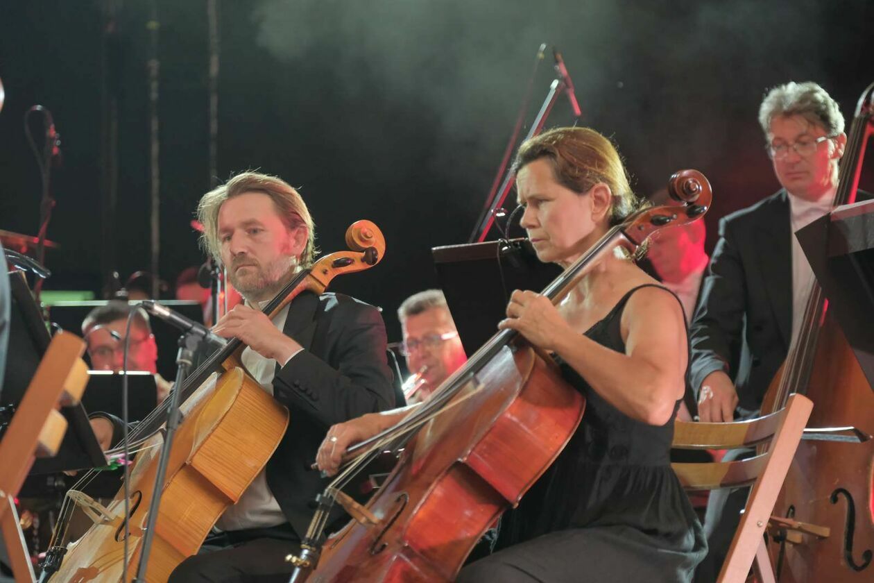  Koncert plenerowy z okazji obchodów Święta Wojska Polskiego (zdjęcie 37) - Autor: DW