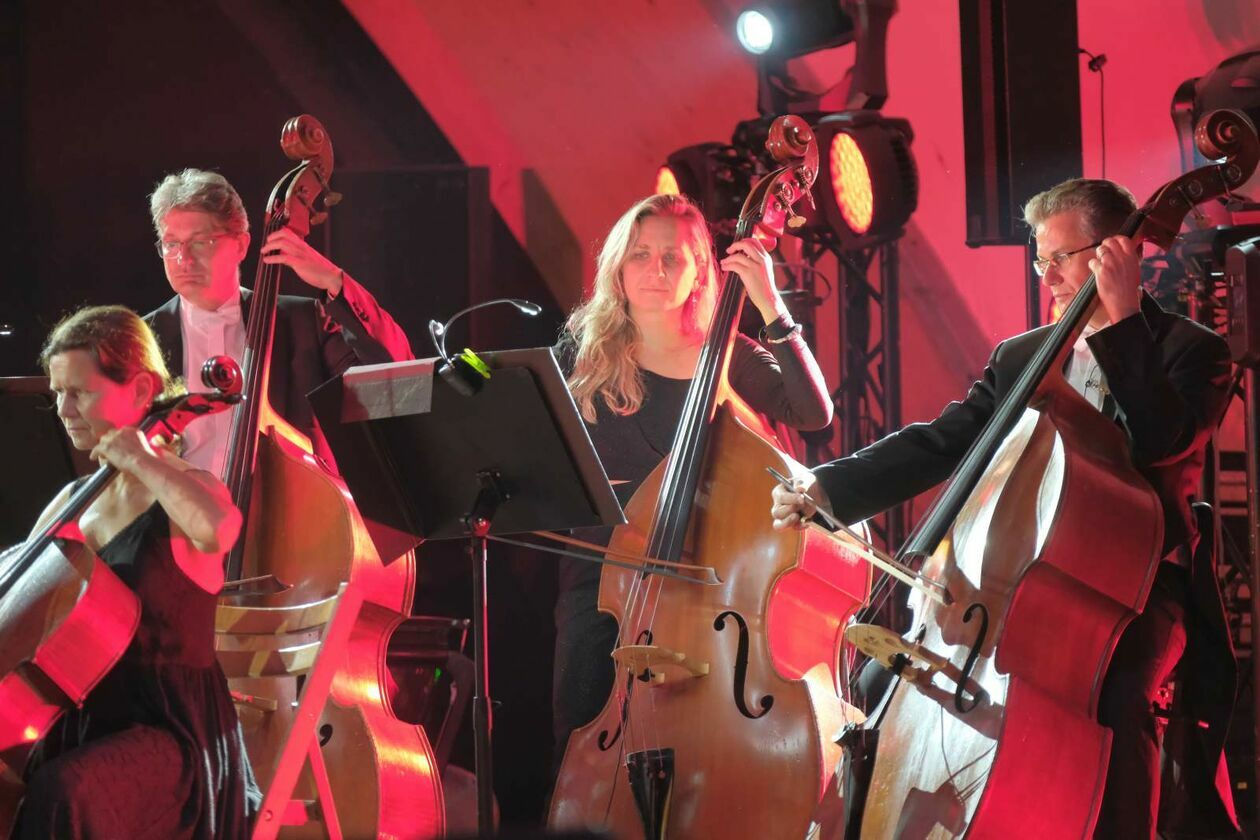  Koncert plenerowy z okazji obchodów Święta Wojska Polskiego (zdjęcie 15) - Autor: DW