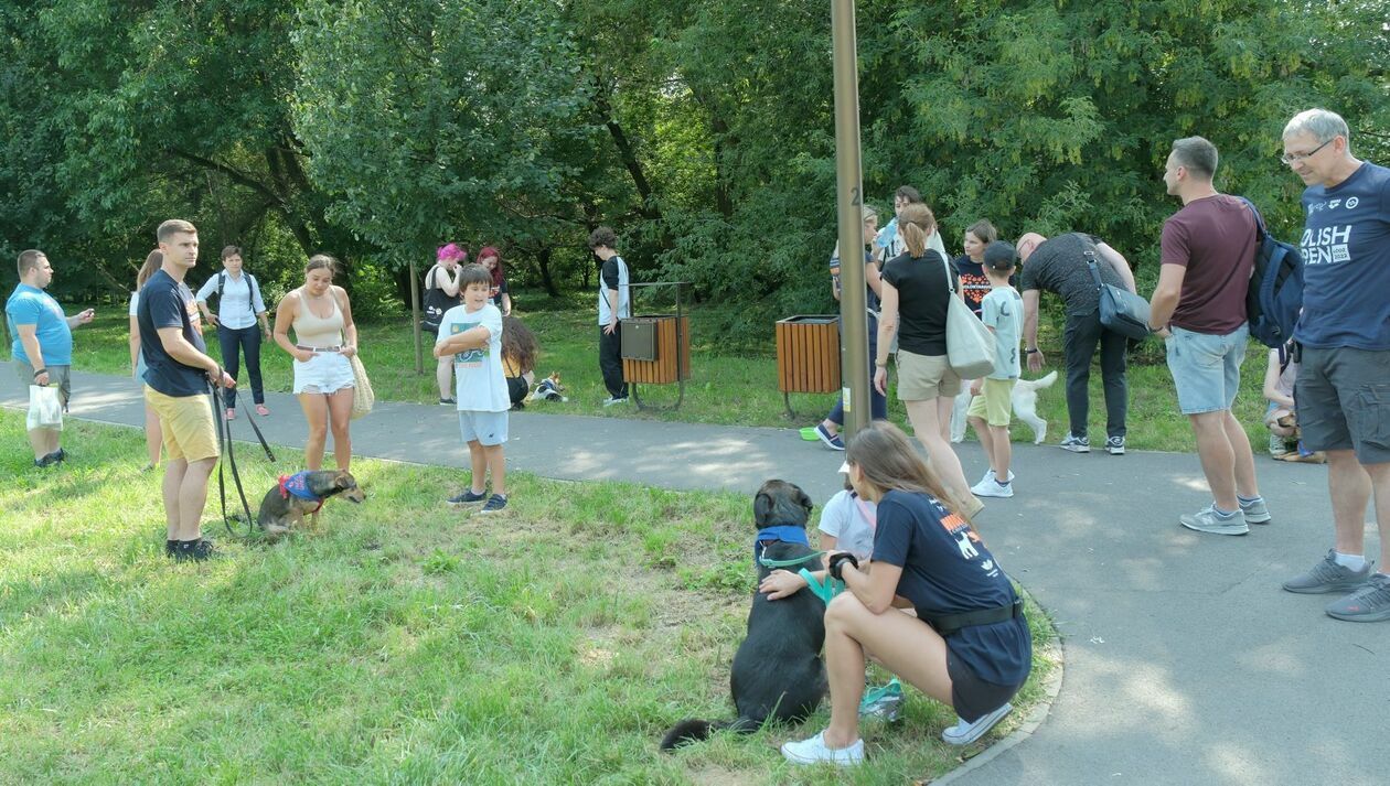 Spacer z podopiecznymi Schroniska dla Bezdomnych Zwierząt