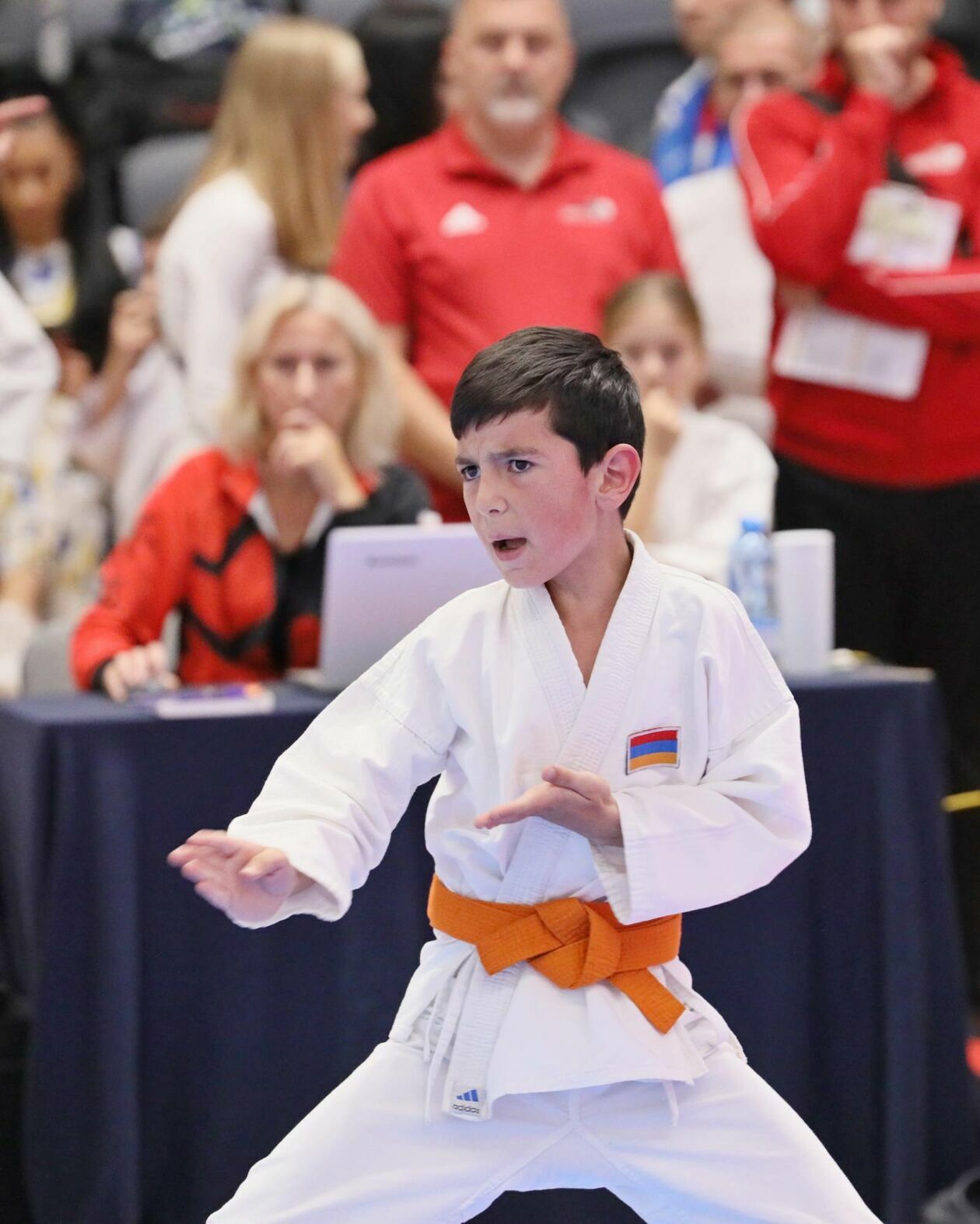  II Otwarty Puchar Świta w Karate Tradycyjnym (zdjęcie 24) - Autor: DW