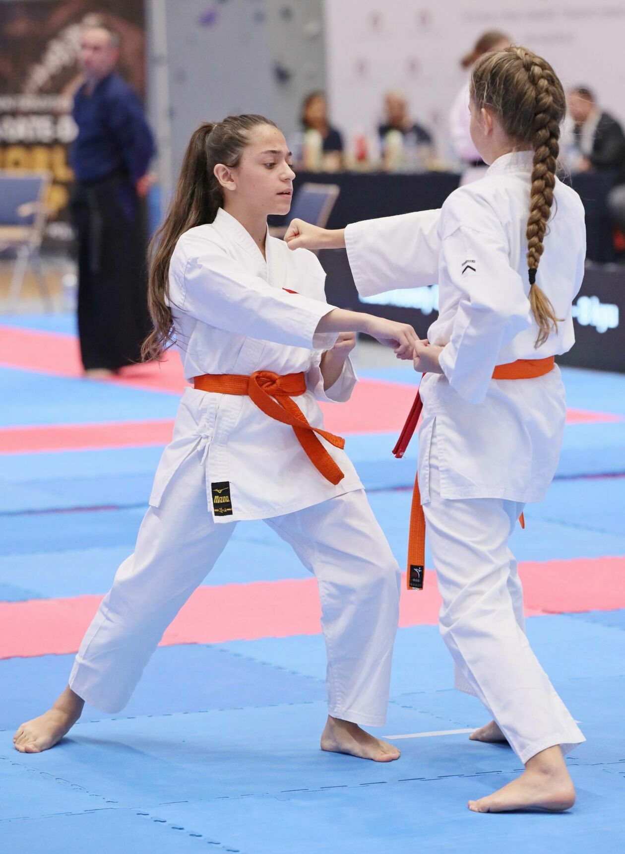  II Otwarty Puchar Świta w Karate Tradycyjnym (zdjęcie 22) - Autor: DW