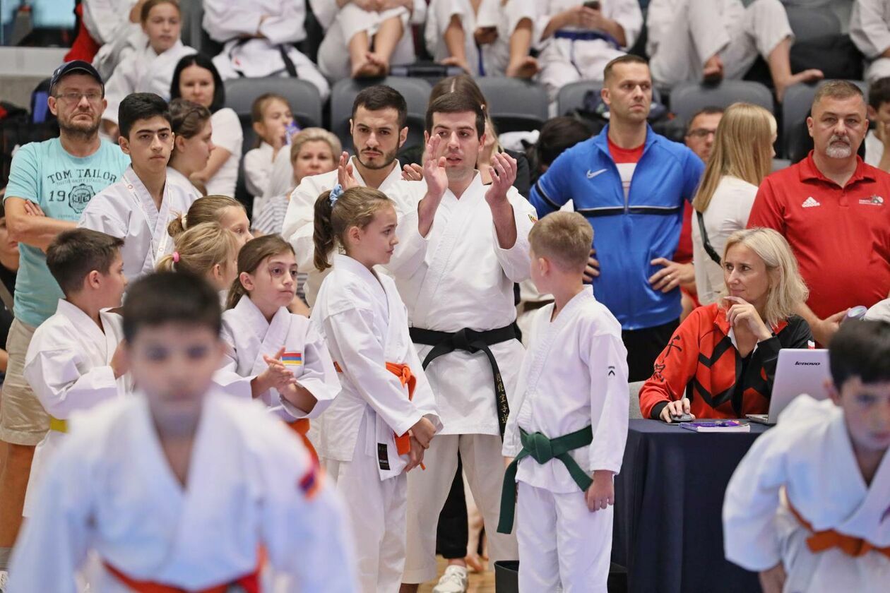 II Otwarty Puchar Świta w Karate Tradycyjnym (zdjęcie 25) - Autor: DW
