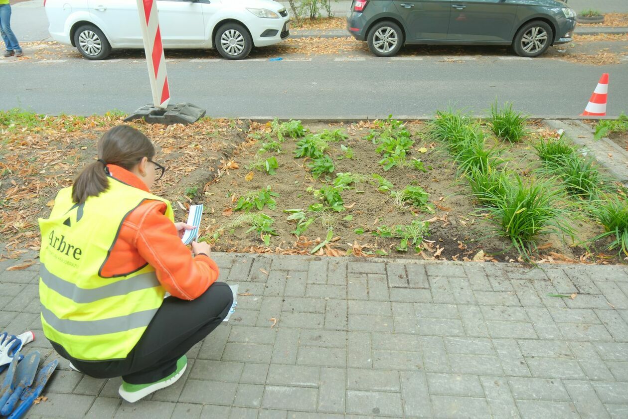  Ogrody deszczowe powstały przy ul. Obrońców Pokoju  - Autor: DW