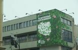 Lublin proekologicznie: festiwal przyrody na Rurach a nowy mural na Astorii (zdjęcie 2)