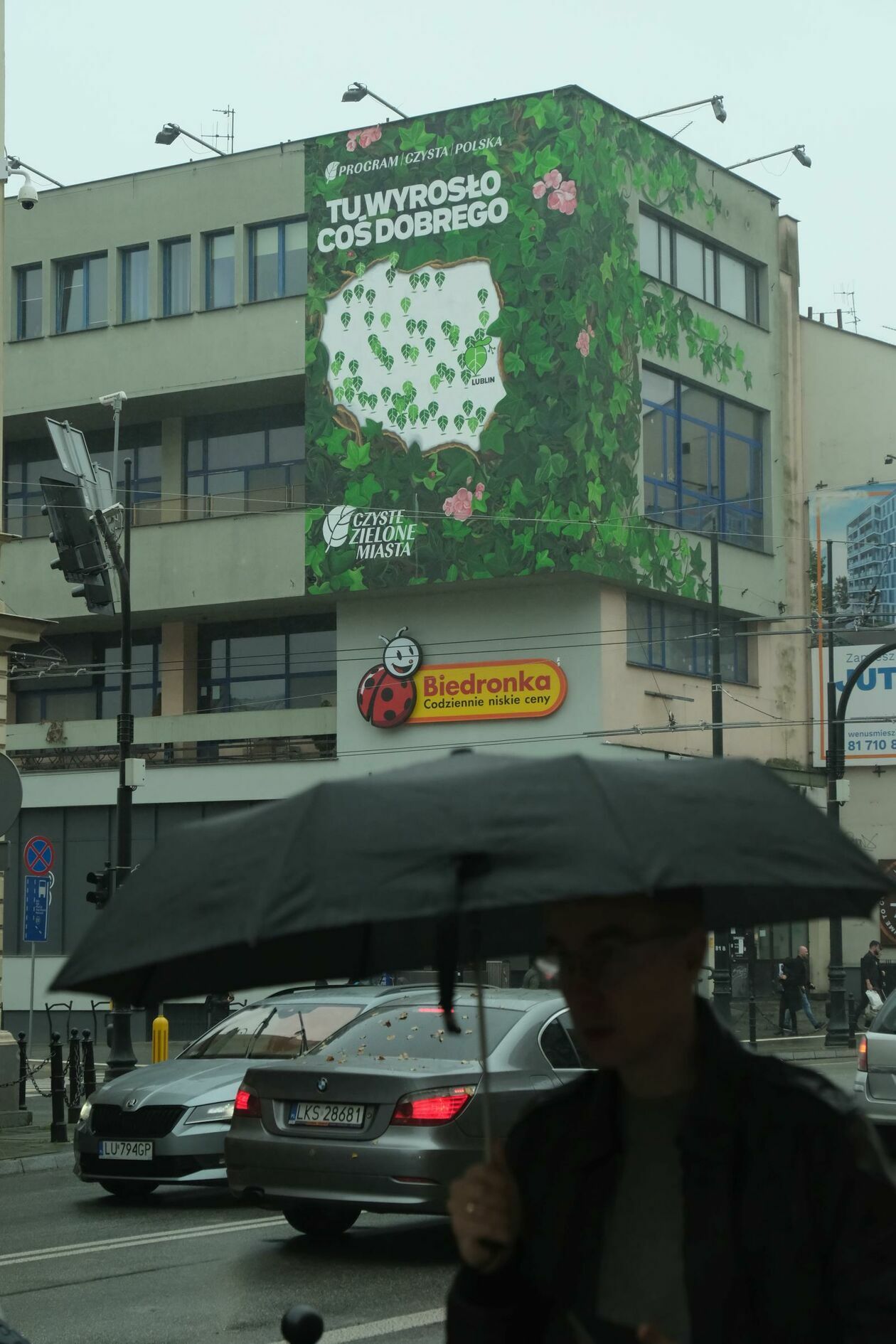  Lublin proekologicznie: festiwal przyrody na Rurach a nowy mural na Astorii (zdjęcie 4) - Autor: DW