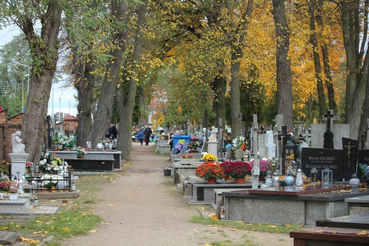  Cmentarz parafialny w Białej Podlaskiej  (zdjęcie 10) - Autor: Ewelina Burda