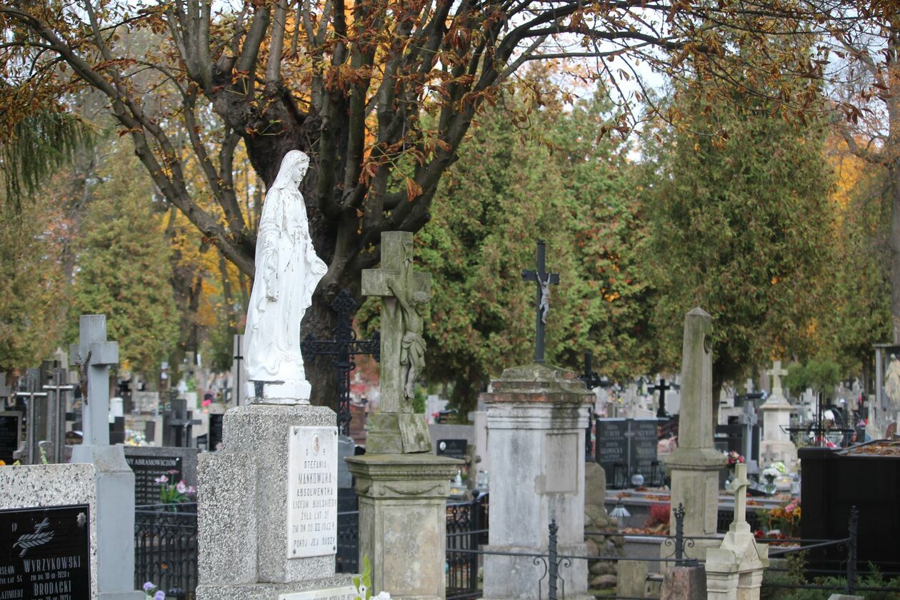  Cmentarz parafialny w Białej Podlaskiej  (zdjęcie 11) - Autor: Ewelina Burda