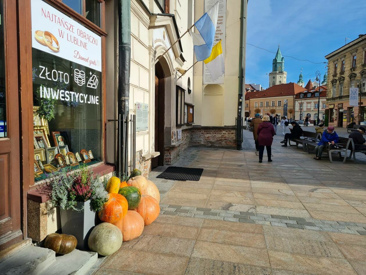  Lublin gotowy na halloween - dynie rządzą na deptaku (zdjęcie 11) - Autor: DW