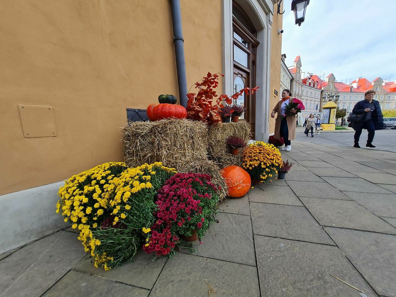  Lublin gotowy na halloween - dynie rządzą na deptaku (zdjęcie 16) - Autor: DW