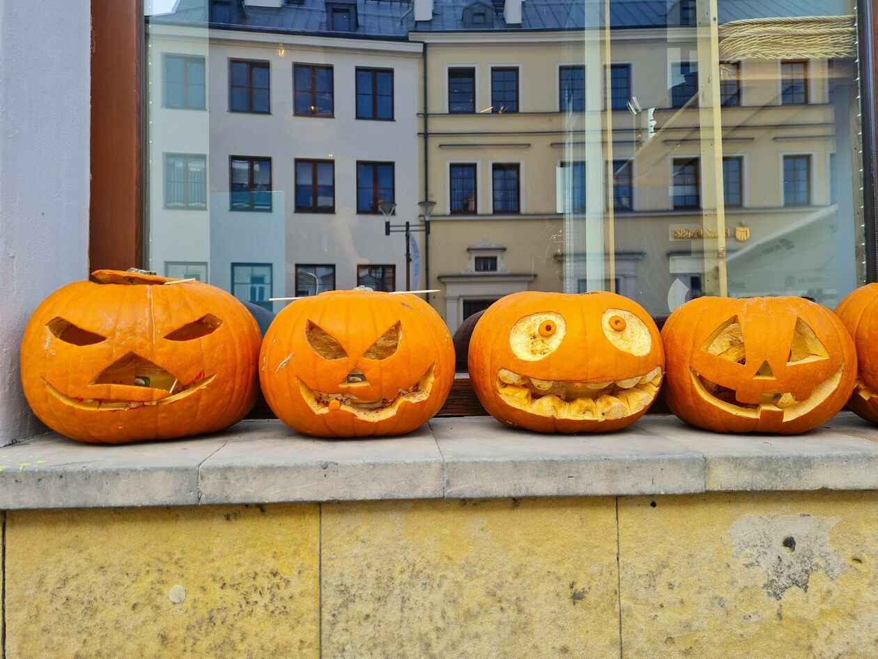  Lublin gotowy na halloween - dynie rządzą na deptaku (zdjęcie 9) - Autor: DW