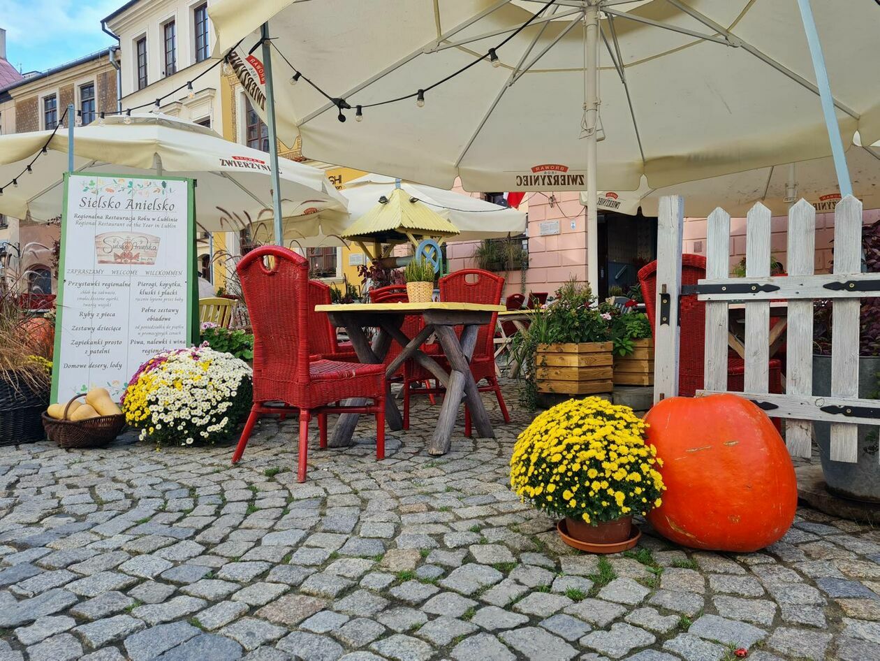  Lublin gotowy na halloween - dynie rządzą na deptaku (zdjęcie 15) - Autor: DW