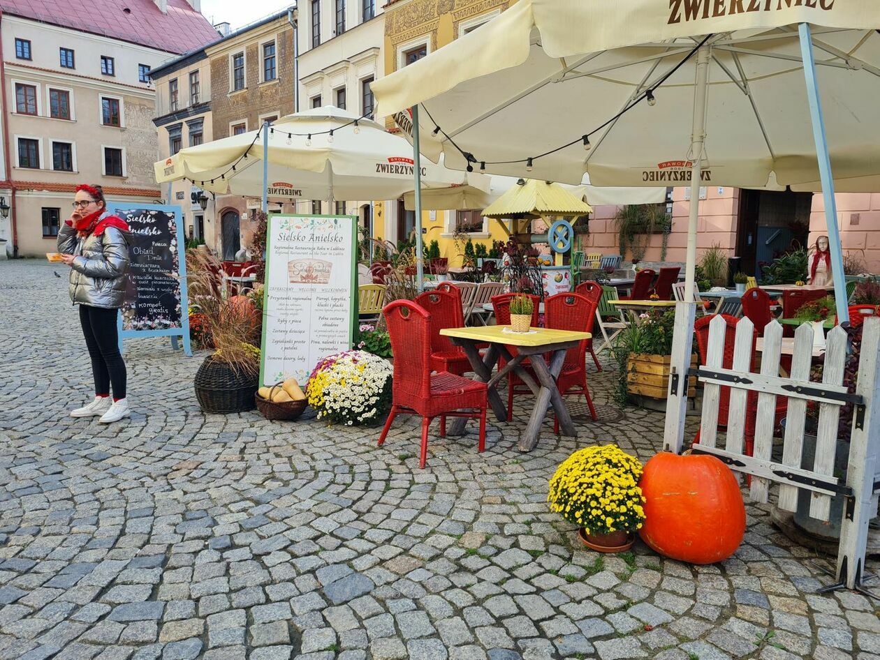  Lublin gotowy na halloween - dynie rządzą na deptaku (zdjęcie 14) - Autor: DW