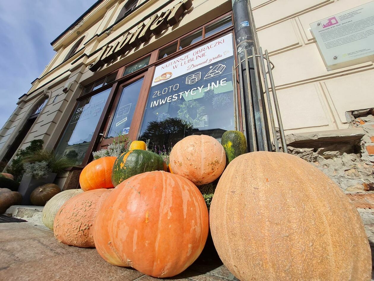  Lublin gotowy na halloween - dynie rządzą na deptaku (zdjęcie 3) - Autor: DW