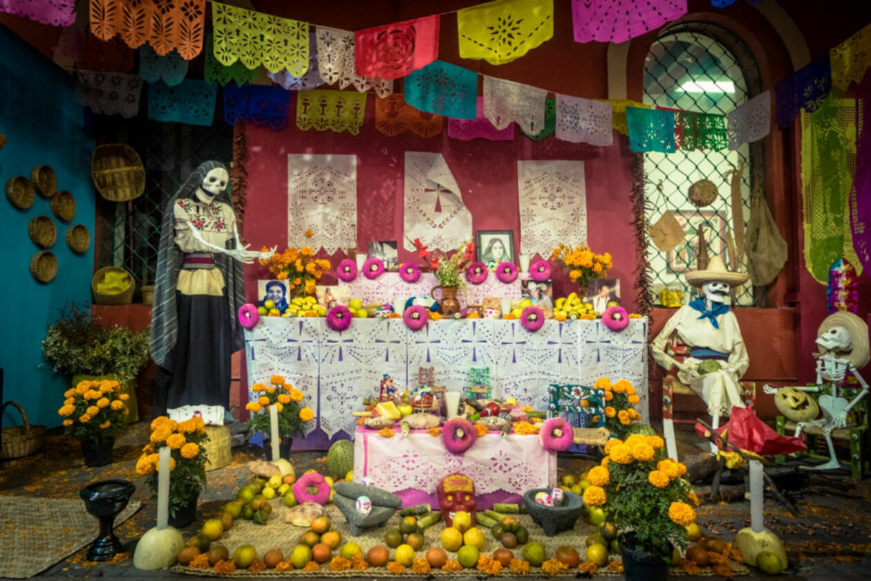  <p>Dia de los muertos wywodzi się z tradycji maj&oacute;w. Jednak znajdziemy tam też dużo tradycji z wierzeń katolickich. 1 listopada mieszkańcy Meksyku przyzozdabiają domy kwiatami i kościotrupami, wystawiane są ołtarzyki na kt&oacute;rych stoją zdjęcia zmarłych przodk&oacute;w. Groby ozdabiane są kwiatami, przynoszone są ulubione rzeczy zmarłych. Wszędzie słychać śpiewy i radosne rozmowy. Co ciekawe, parada Dia de los Muertos została wpisana na listę niematerialnego dziedzictwa Unesco.</p>