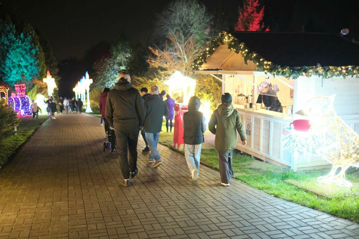  Park Lumina znowu rozświetlił Ogród Botaniczny UMCS (zdjęcie 6) - Autor: DW