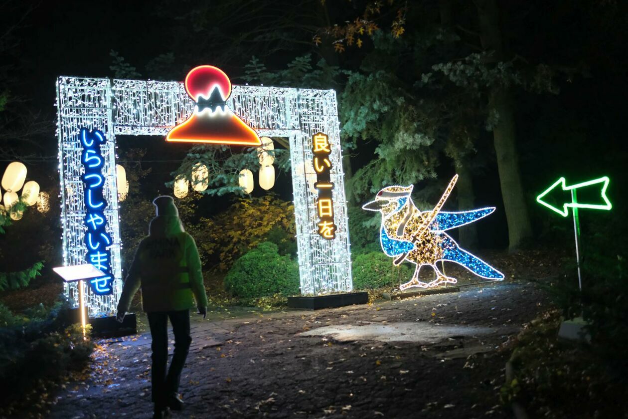  Park Lumina znowu rozświetlił Ogród Botaniczny UMCS (zdjęcie 32) - Autor: DW