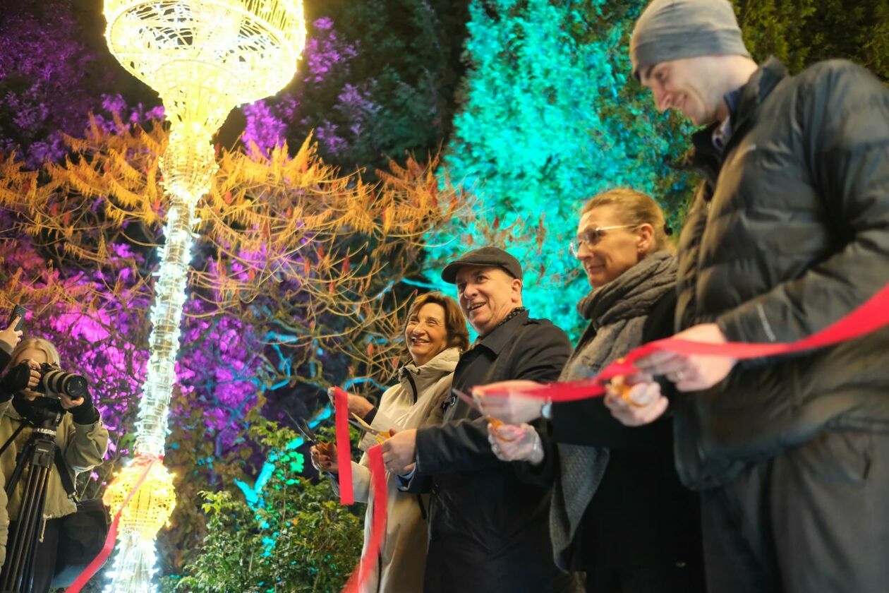  Park Lumina znowu rozświetlił Ogród Botaniczny UMCS (zdjęcie 47) - Autor: DW