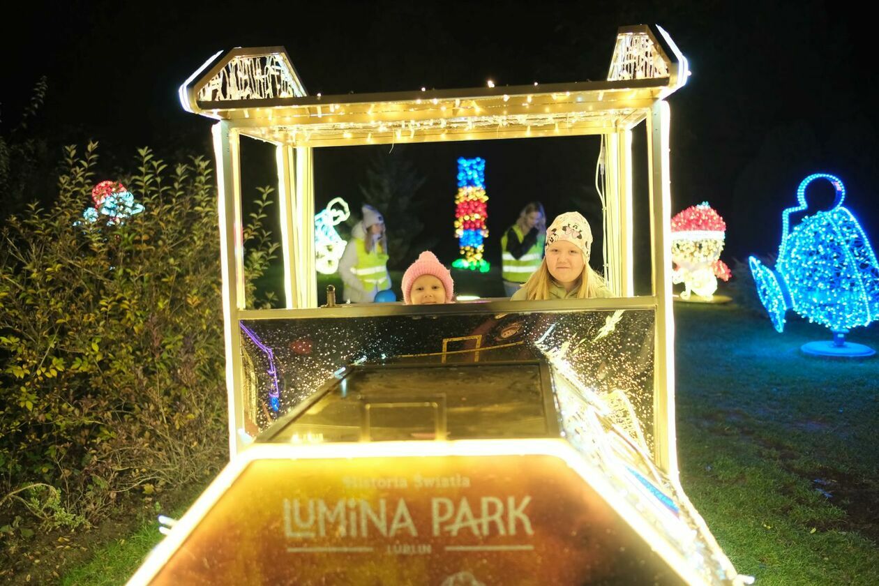  Park Lumina znowu rozświetlił Ogród Botaniczny UMCS (zdjęcie 52) - Autor: DW