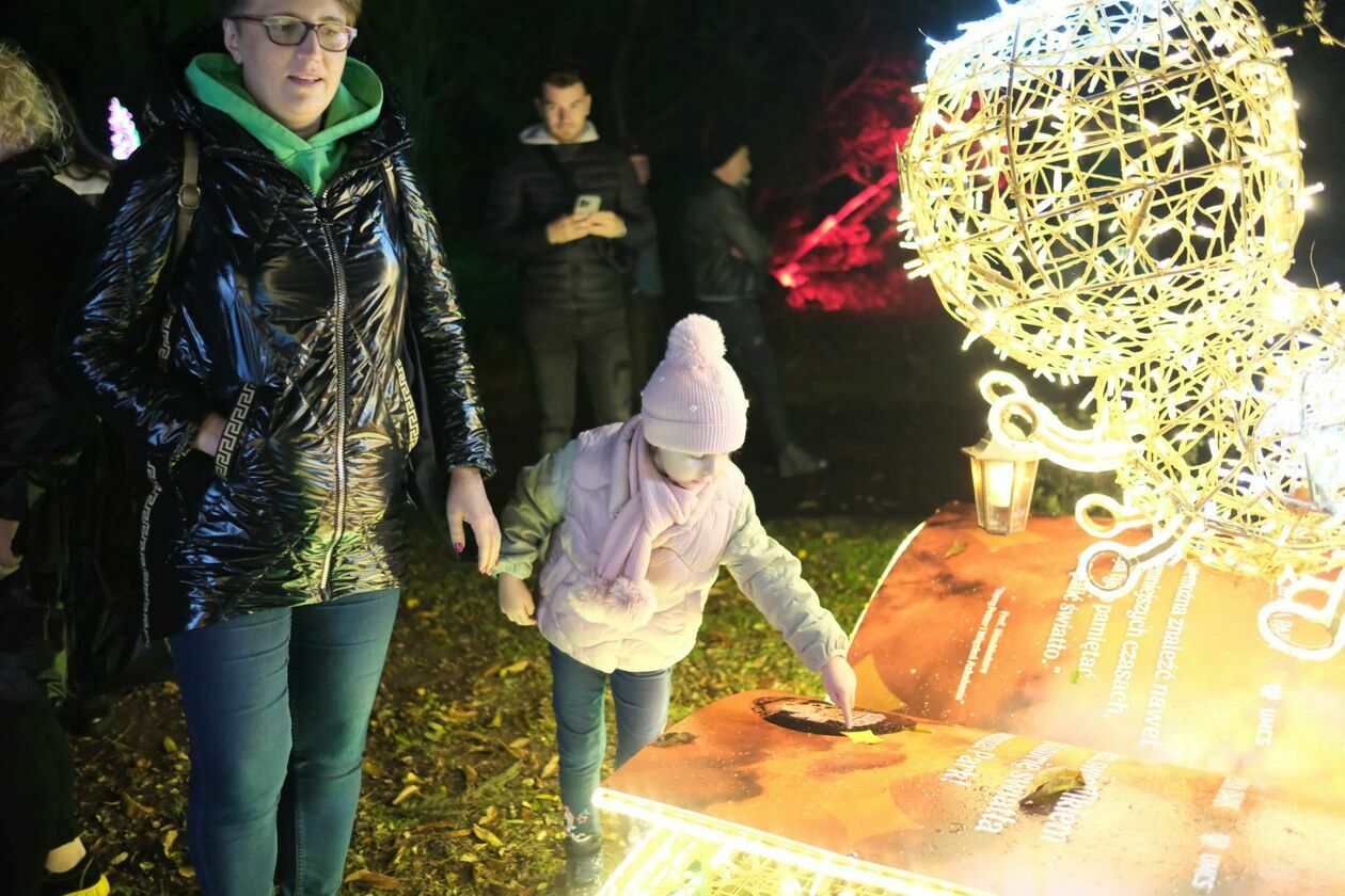  Park Lumina znowu rozświetlił Ogród Botaniczny UMCS (zdjęcie 41) - Autor: DW