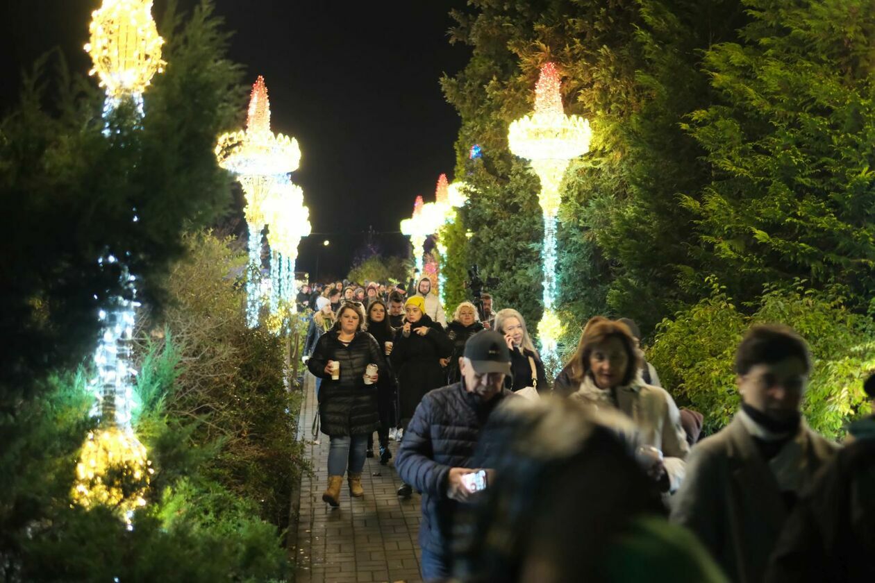  Park Lumina znowu rozświetlił Ogród Botaniczny UMCS (zdjęcie 43) - Autor: DW