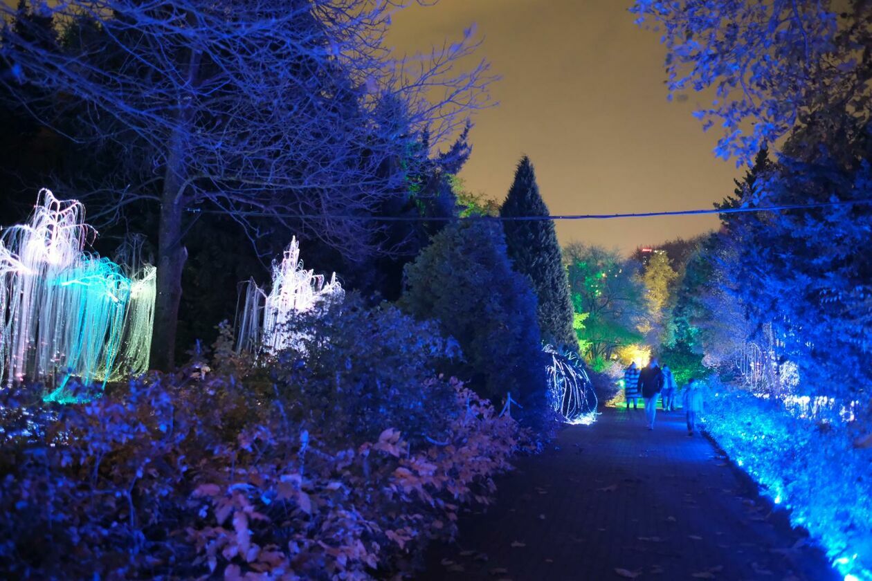  Park Lumina znowu rozświetlił Ogród Botaniczny UMCS (zdjęcie 13) - Autor: DW