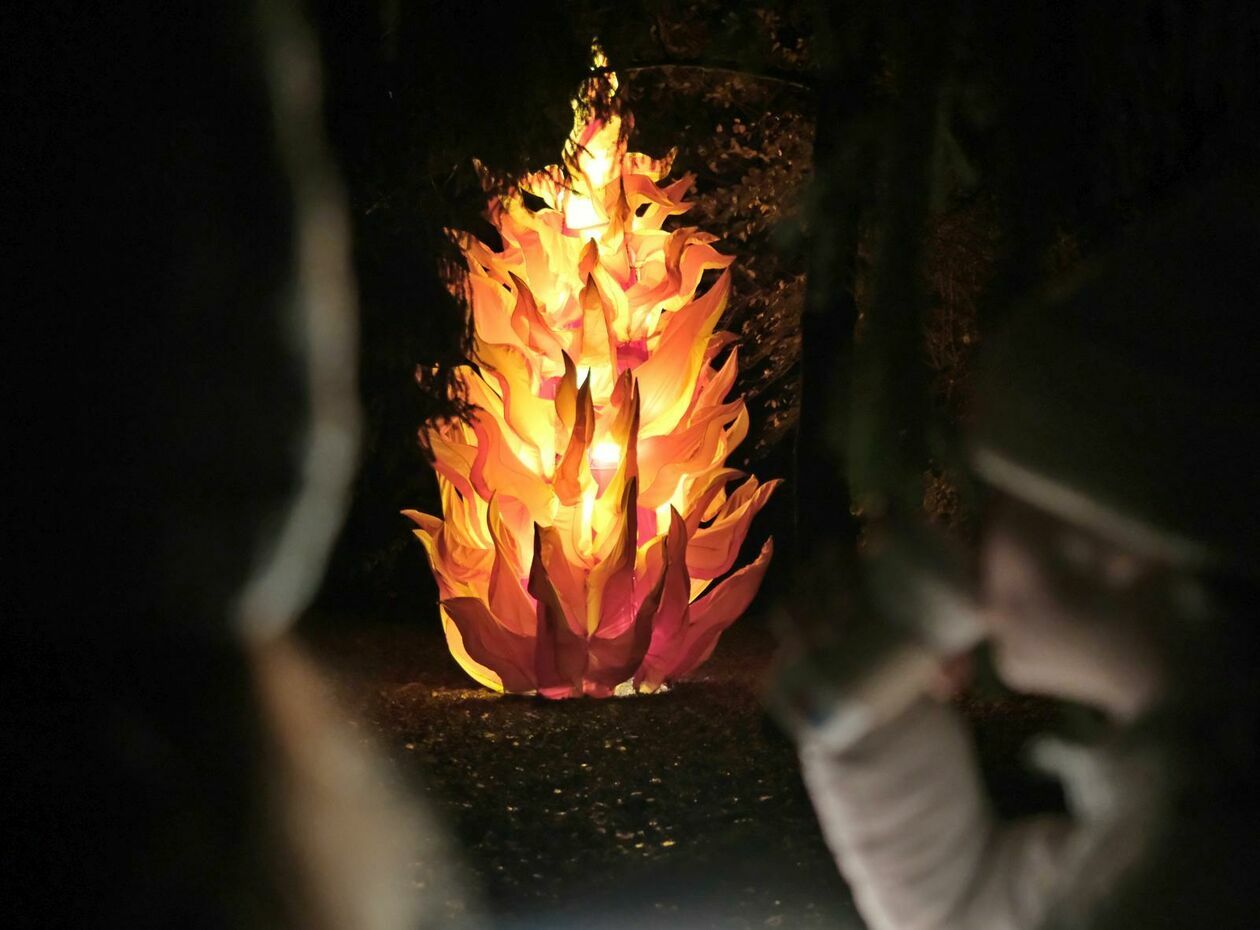  Park Lumina znowu rozświetlił Ogród Botaniczny UMCS (zdjęcie 38) - Autor: DW