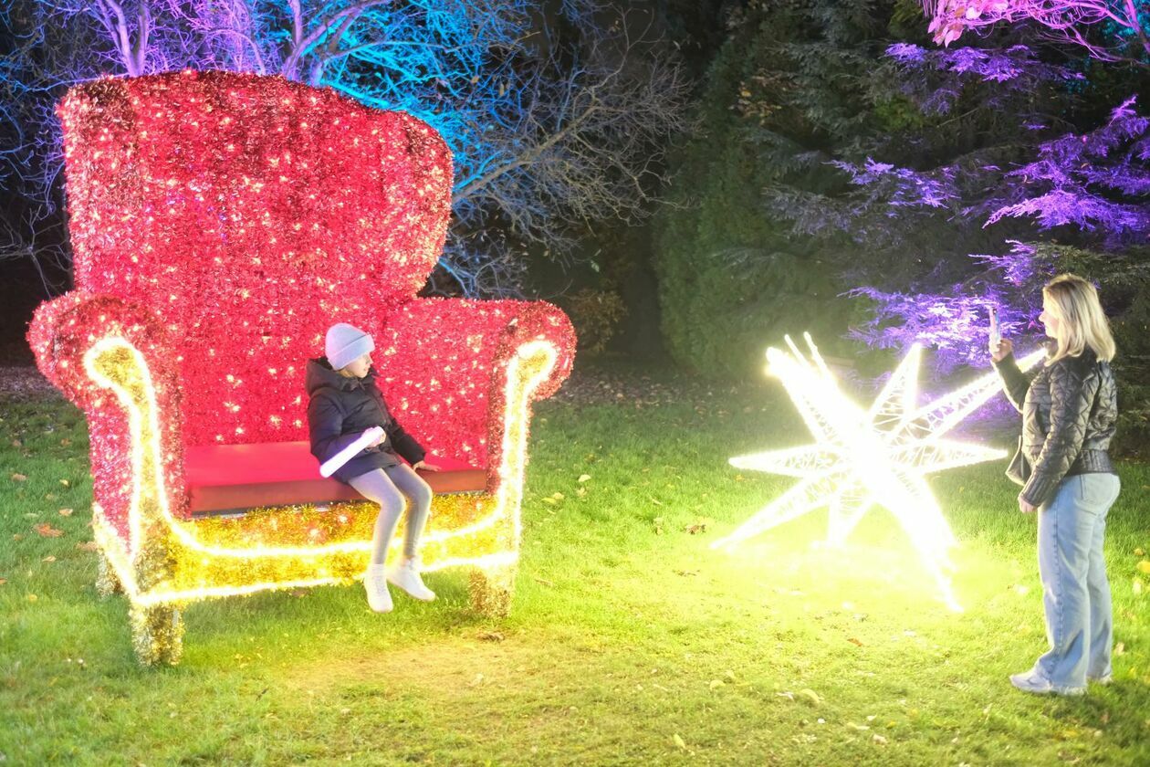  Park Lumina znowu rozświetlił Ogród Botaniczny UMCS (zdjęcie 53) - Autor: DW