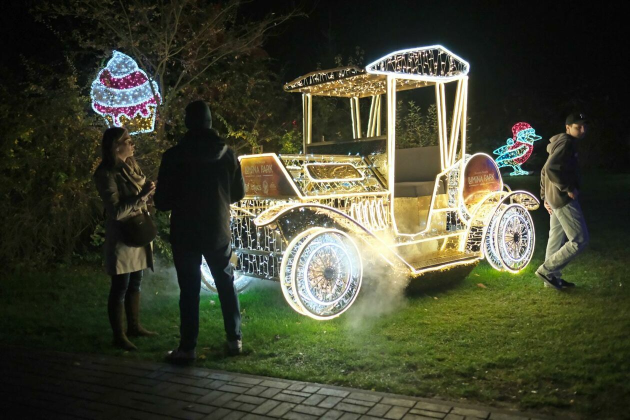  Park Lumina znowu rozświetlił Ogród Botaniczny UMCS (zdjęcie 7) - Autor: DW