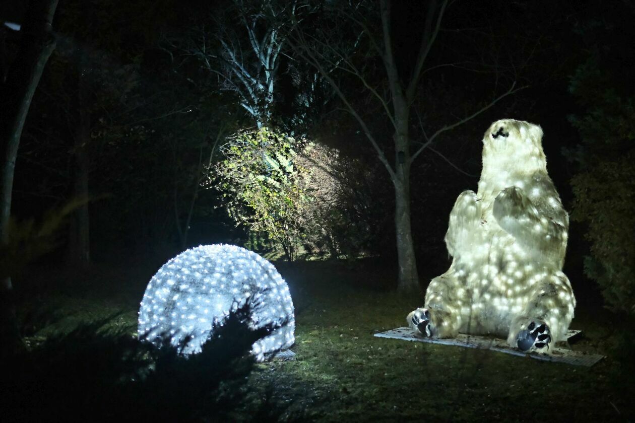  Park Lumina znowu rozświetlił Ogród Botaniczny UMCS (zdjęcie 23) - Autor: DW