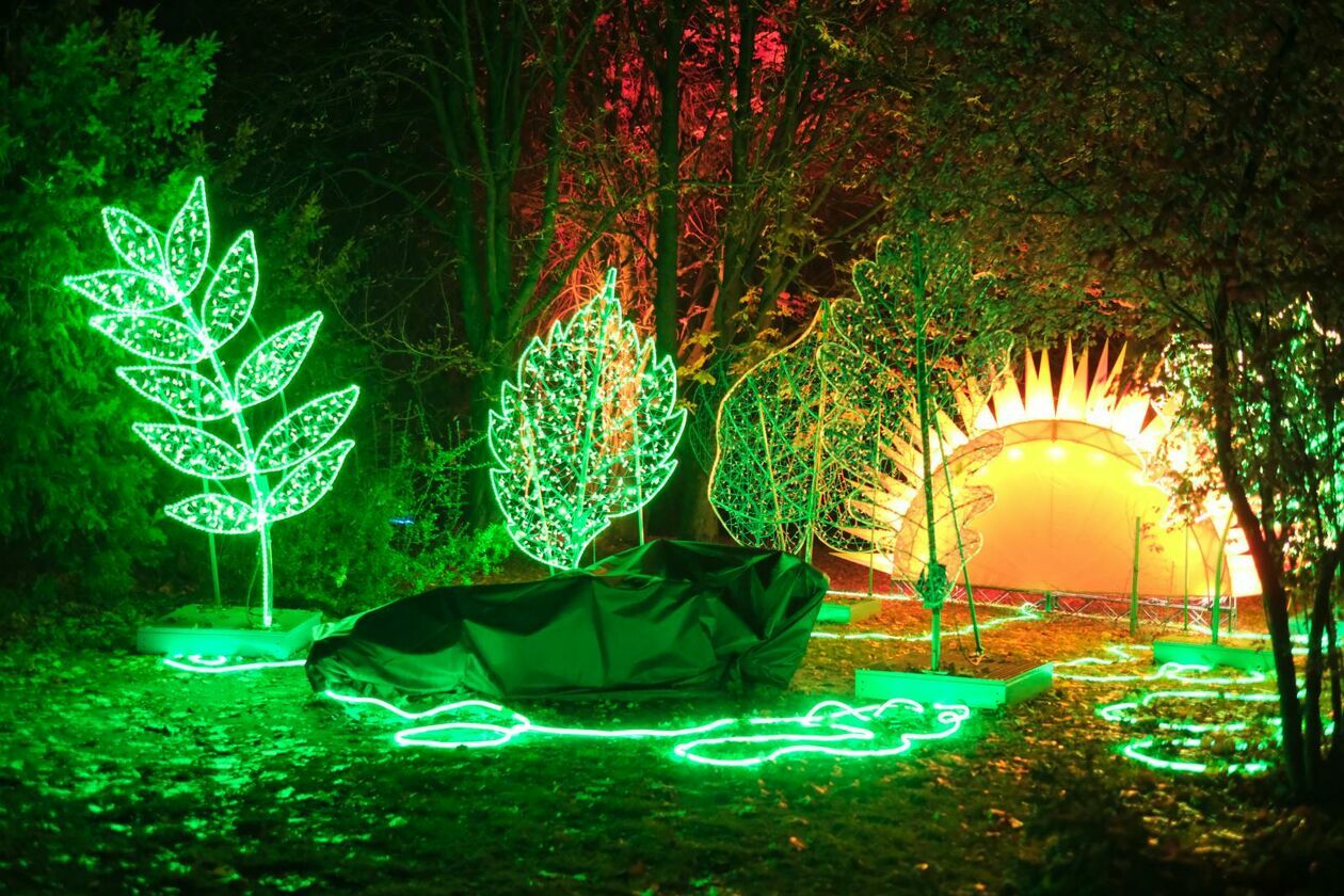  Park Lumina znowu rozświetlił Ogród Botaniczny UMCS (zdjęcie 24) - Autor: DW