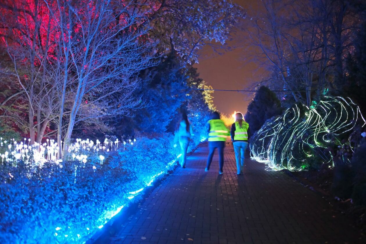  Park Lumina znowu rozświetlił Ogród Botaniczny UMCS (zdjęcie 19) - Autor: DW