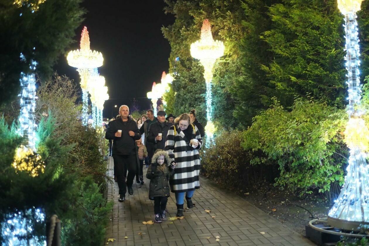  Park Lumina znowu rozświetlił Ogród Botaniczny UMCS (zdjęcie 44) - Autor: DW