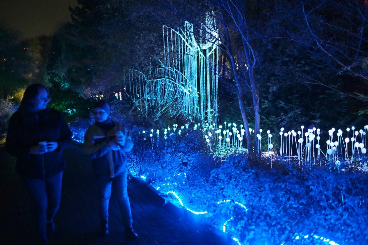  Park Lumina znowu rozświetlił Ogród Botaniczny UMCS (zdjęcie 16) - Autor: DW