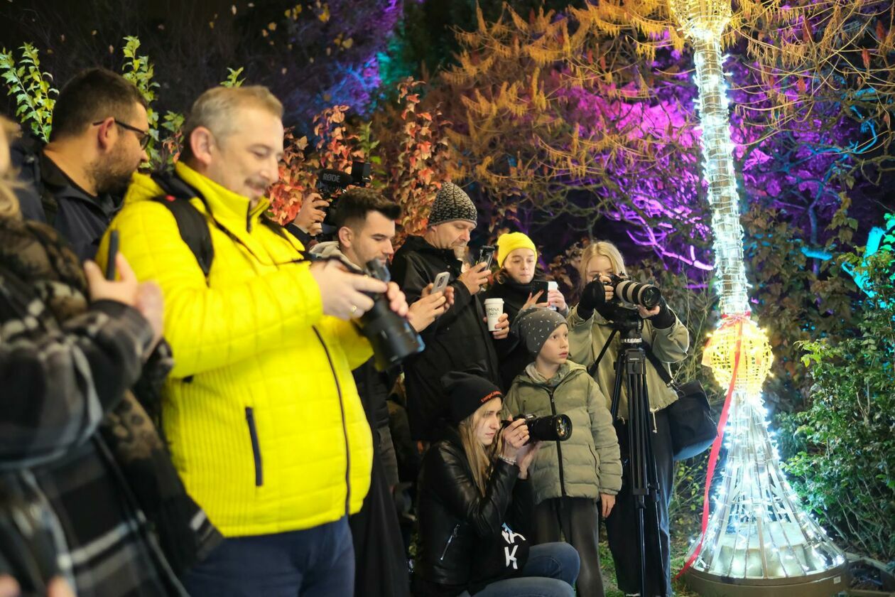  Park Lumina znowu rozświetlił Ogród Botaniczny UMCS (zdjęcie 46) - Autor: DW