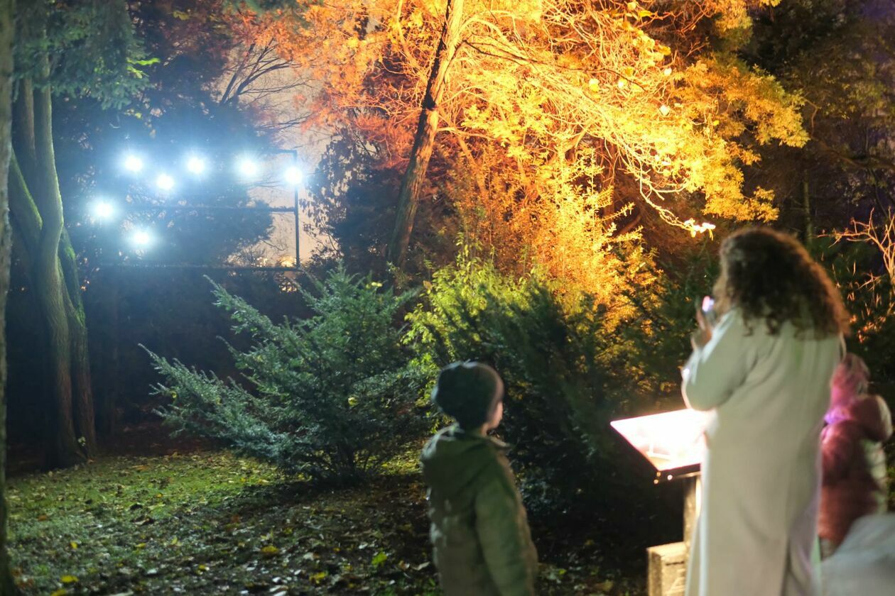  Park Lumina znowu rozświetlił Ogród Botaniczny UMCS (zdjęcie 31) - Autor: DW