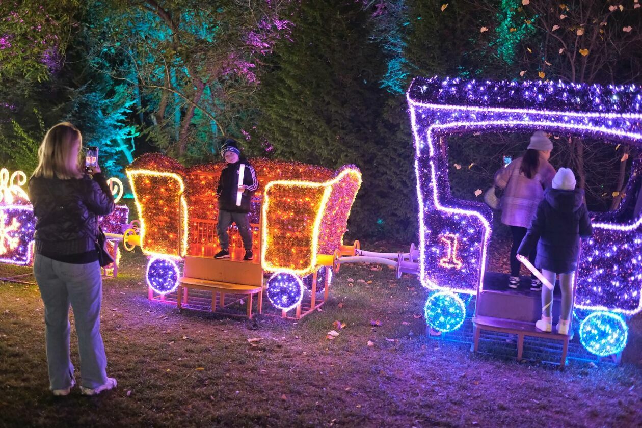  Park Lumina znowu rozświetlił Ogród Botaniczny UMCS (zdjęcie 51) - Autor: DW