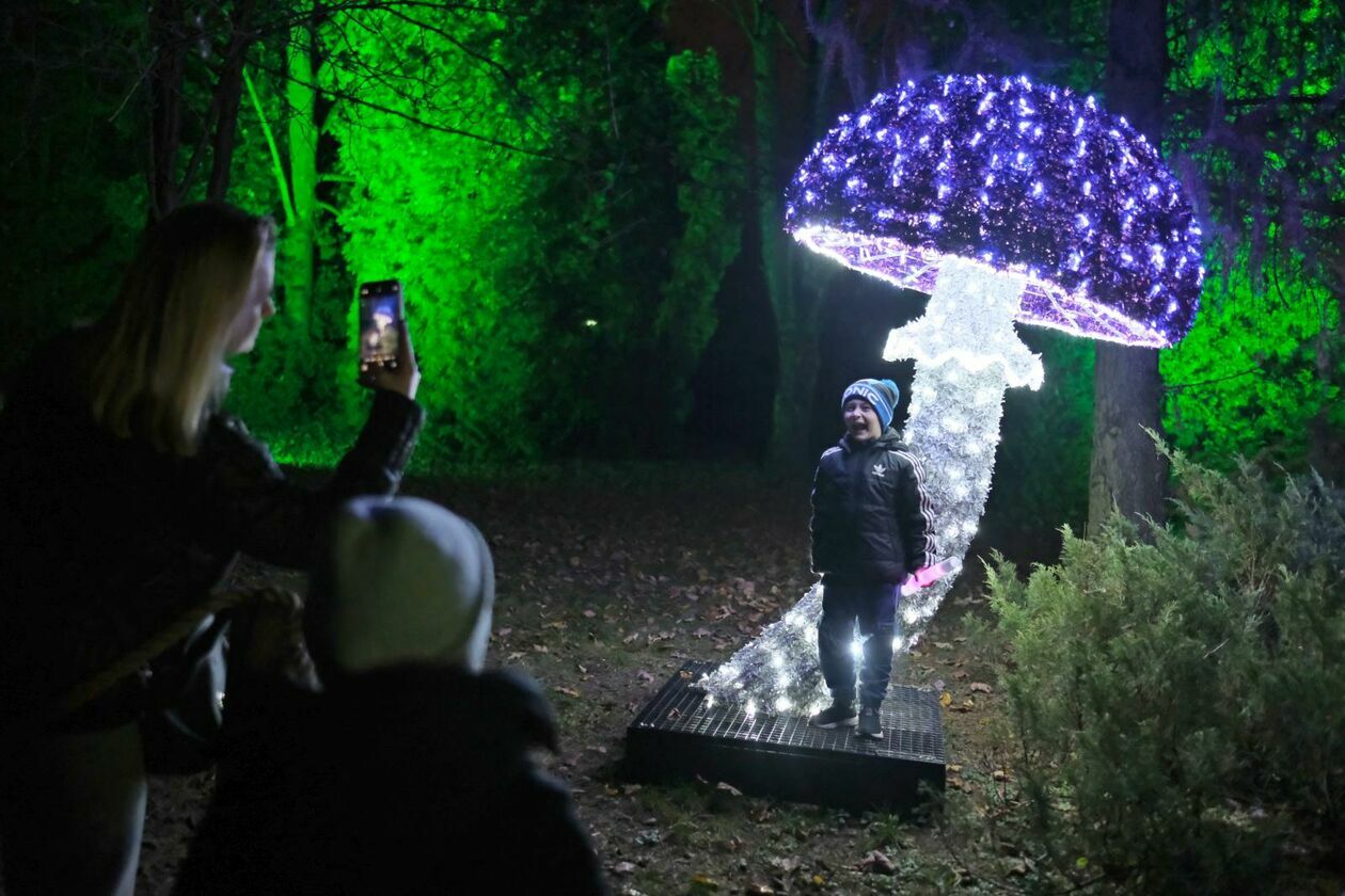  Park Lumina znowu rozświetlił Ogród Botaniczny UMCS (zdjęcie 35) - Autor: DW