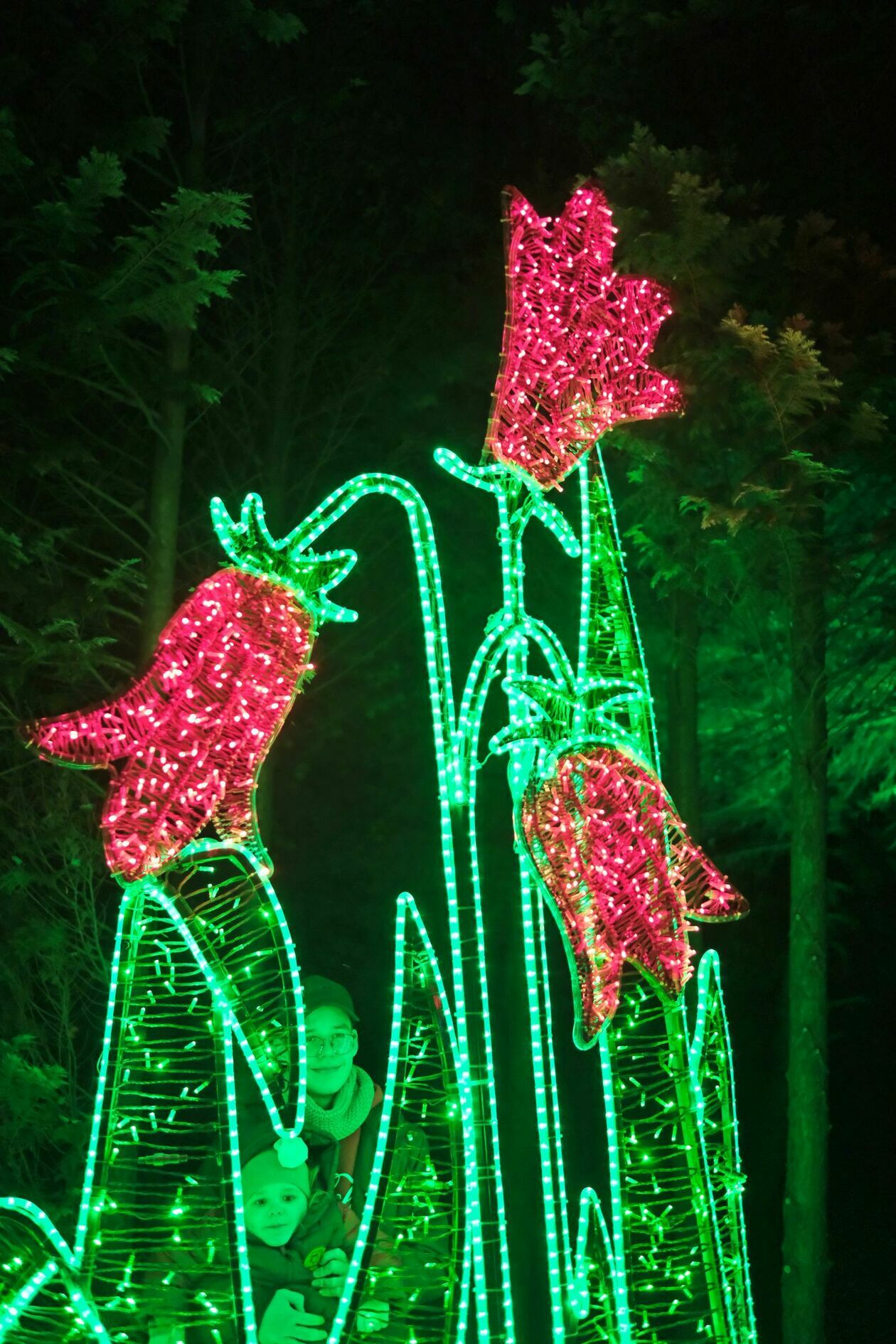  Park Lumina znowu rozświetlił Ogród Botaniczny UMCS (zdjęcie 36) - Autor: DW