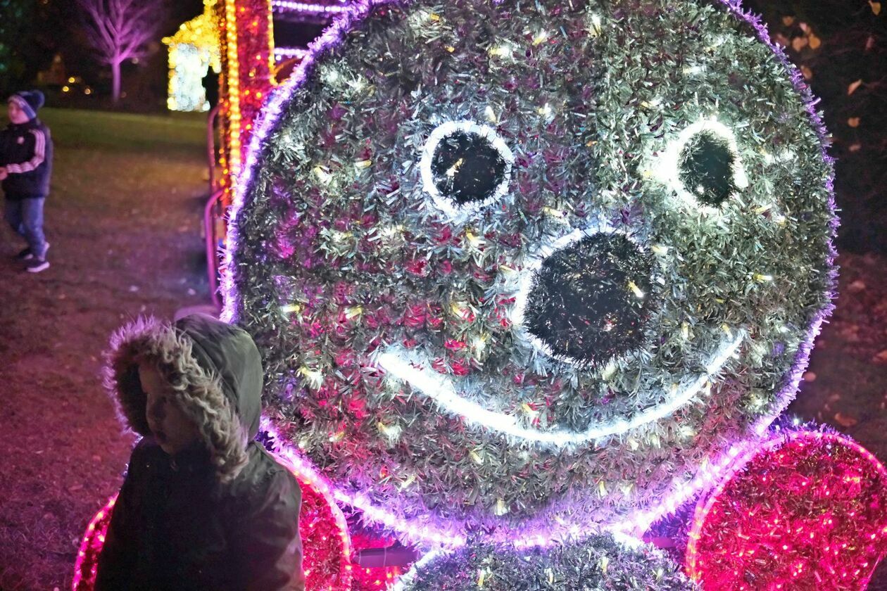  Park Lumina znowu rozświetlił Ogród Botaniczny UMCS (zdjęcie 50) - Autor: DW