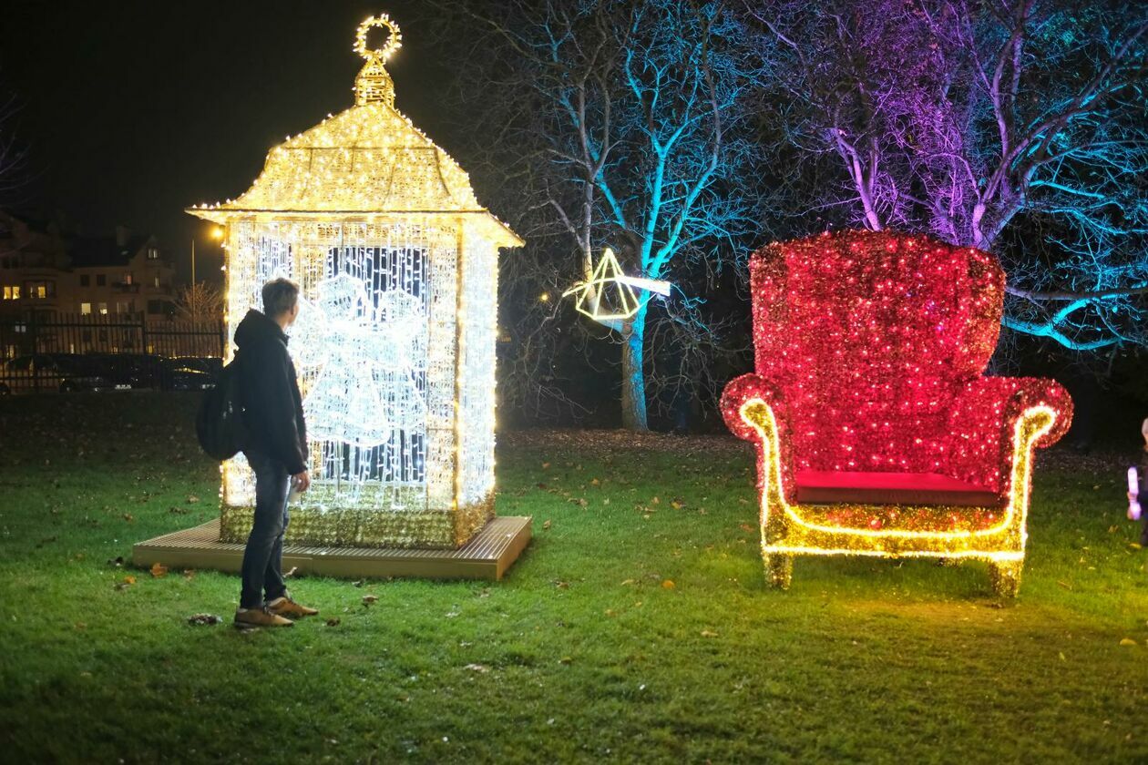  Park Lumina znowu rozświetlił Ogród Botaniczny UMCS (zdjęcie 54) - Autor: DW