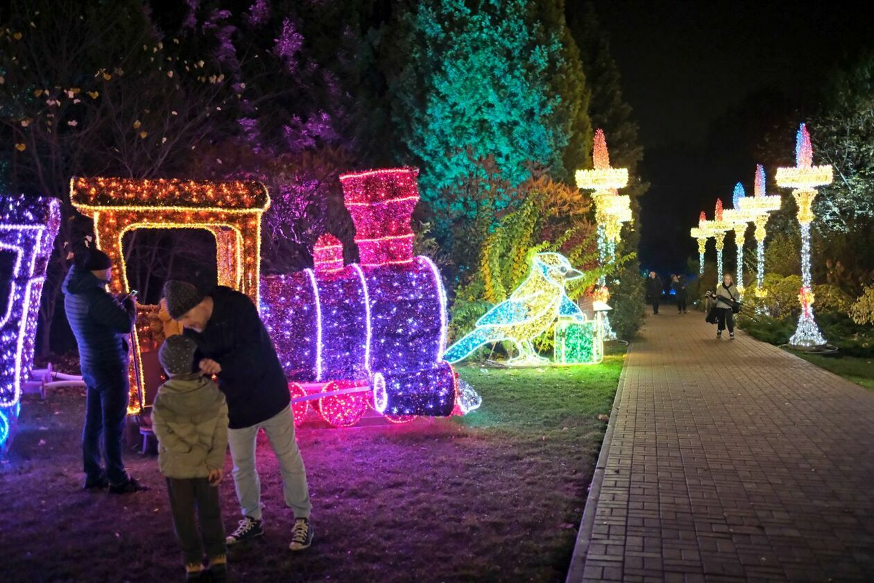  Park Lumina znowu rozświetlił Ogród Botaniczny UMCS (zdjęcie 8) - Autor: DW