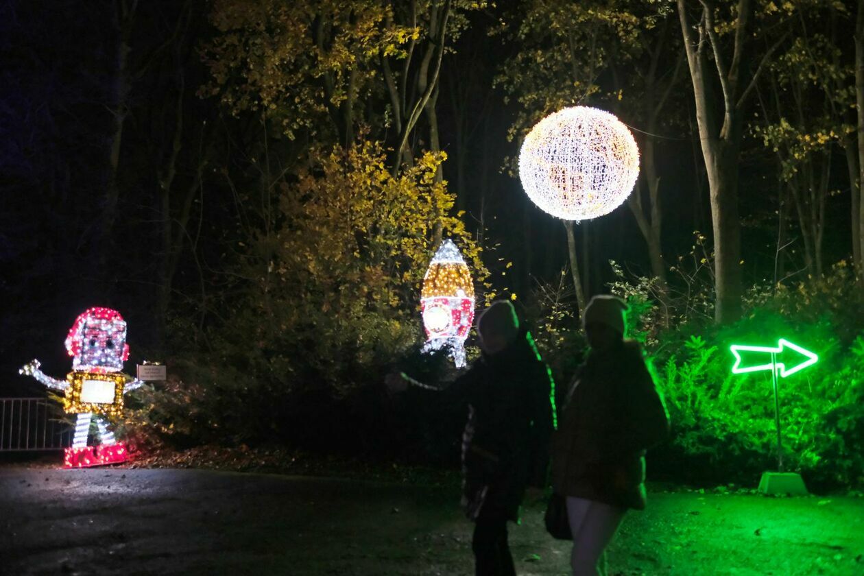 Park Lumina znowu rozświetlił Ogród Botaniczny UMCS