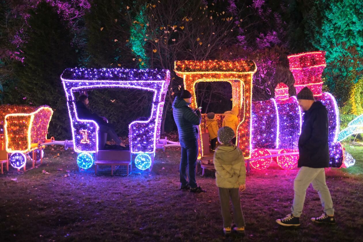  Park Lumina znowu rozświetlił Ogród Botaniczny UMCS (zdjęcie 9) - Autor: DW