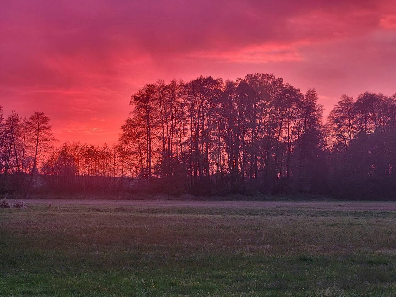  Listopadowy zachód słońca w obiektywie Czytelników Dziennika Wschodniego (zdjęcie 24) - Autor: Aneta Koneczna